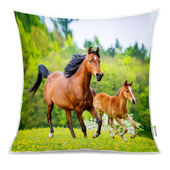 Cushion HORSES 02